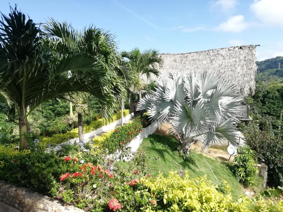 Moon Wind Tayrona Hostel الزينو المظهر الخارجي الصورة