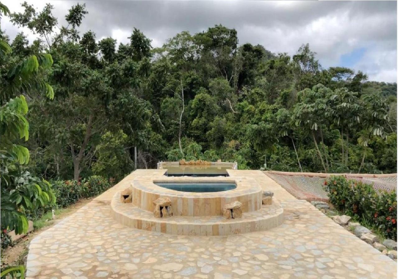 Moon Wind Tayrona Hostel الزينو المظهر الخارجي الصورة