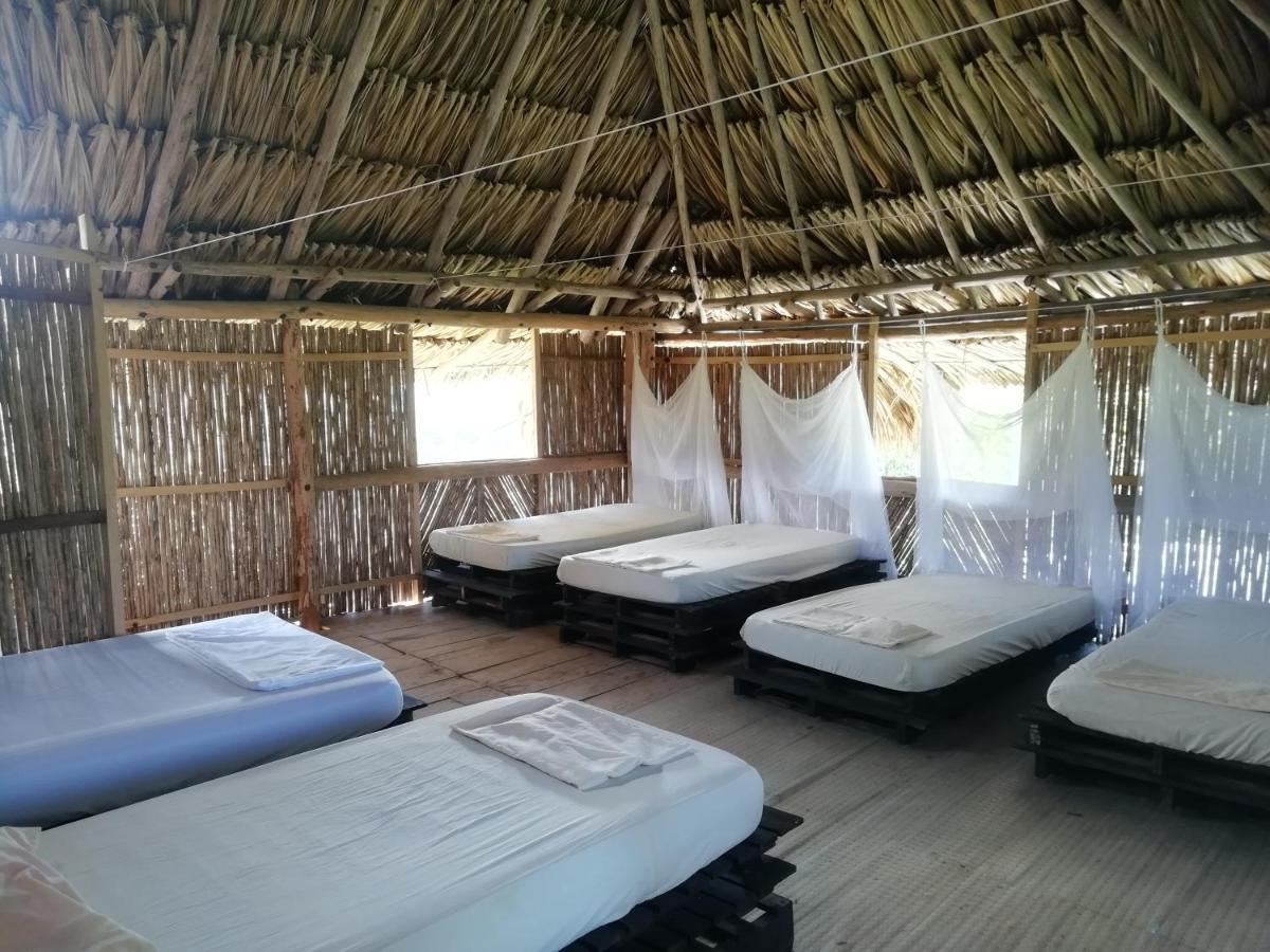 Moon Wind Tayrona Hostel الزينو المظهر الخارجي الصورة